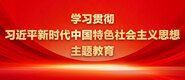 www,艹碧碧网站学习贯彻习近平新时代中国特色社会主义思想主题教育_fororder_ad-371X160(2)